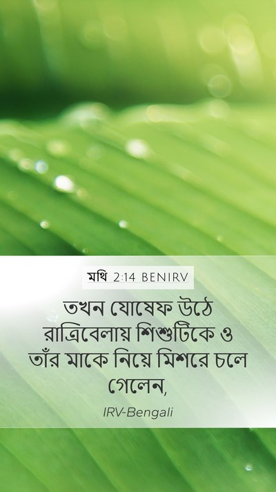 মথি 2:14 BENIRV Mobile Phone Wallpaper - তখন যোষেফ উঠে - Mobile Bible Verse Wallpaper