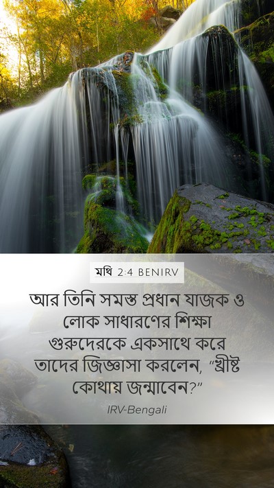 মথি 2:4 BENIRV Bible Verse Image