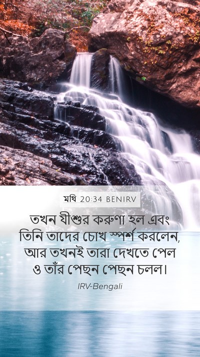 মথি 20:34 BENIRV Bible Verse Image