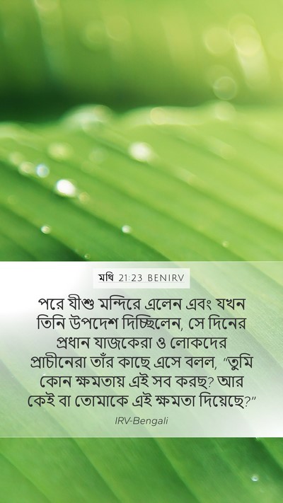 মথি 21:23 BENIRV Bible Verse Image