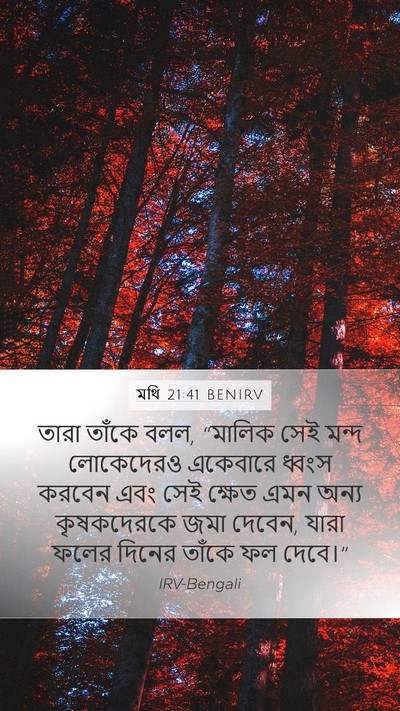 মথি 21:41 BENIRV Mobile Phone Wallpaper - তারা তাঁকে বলল, - Mobile Bible Verse Wallpaper