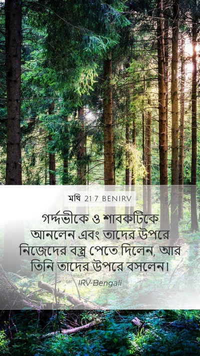 মথি 21:7 BENIRV Mobile Phone Wallpaper - গর্দ্দভীকে ও - Mobile Bible Verse Wallpaper