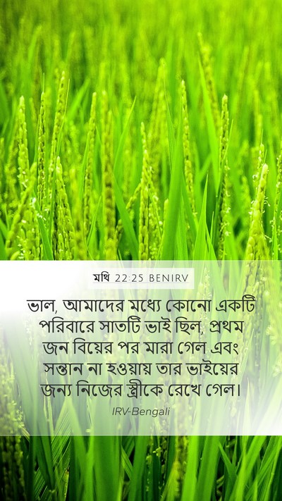 মথি 22:25 BENIRV Bible Verse Image