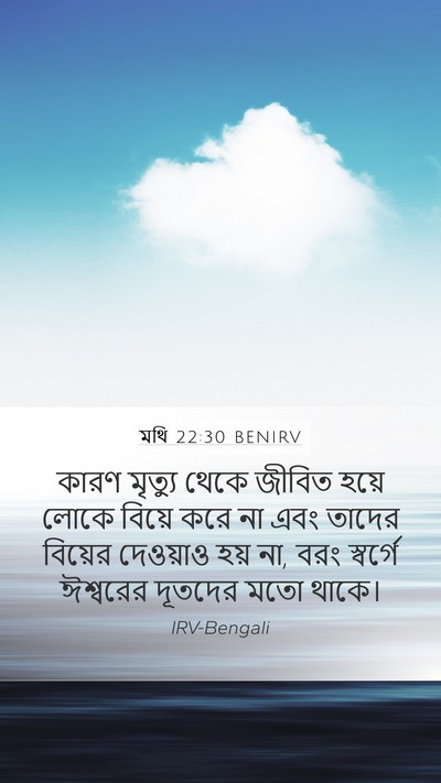 মথি 22:30 BENIRV Bible Verse Image