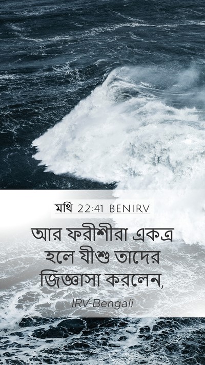 মথি 22:41 BENIRV Bible Verse Image