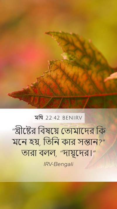 মথি 22:42 BENIRV Bible Verse Image