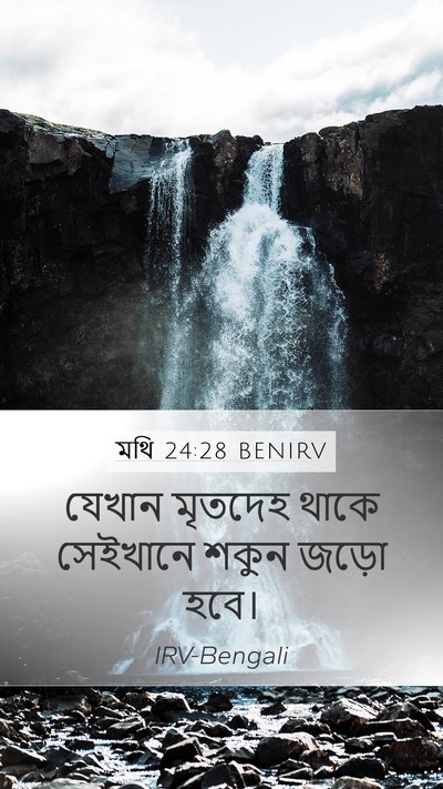 মথি 24:28 BENIRV Bible Verse Image