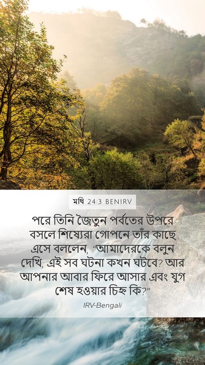মথি 24:3 BENIRV Mobile Phone Wallpaper - পরে তিনি জৈতুন - Mobile Bible Verse Wallpaper