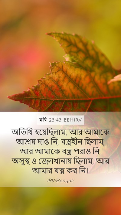 মথি 25:43 BENIRV Bible Verse Image