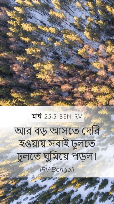 মথি 25:5 BENIRV Bible Verse Image