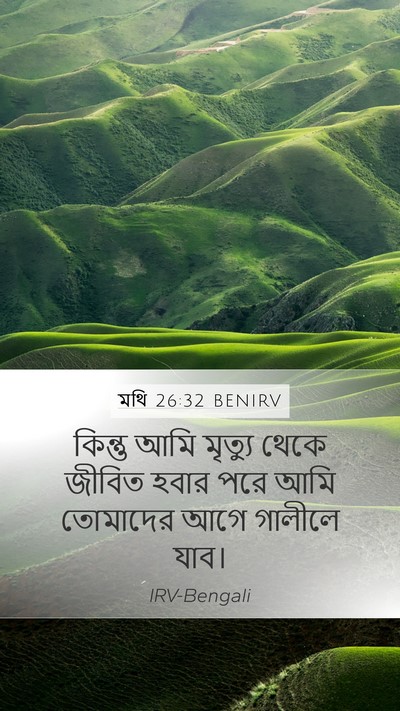 মথি 26:32 BENIRV Bible Verse Image