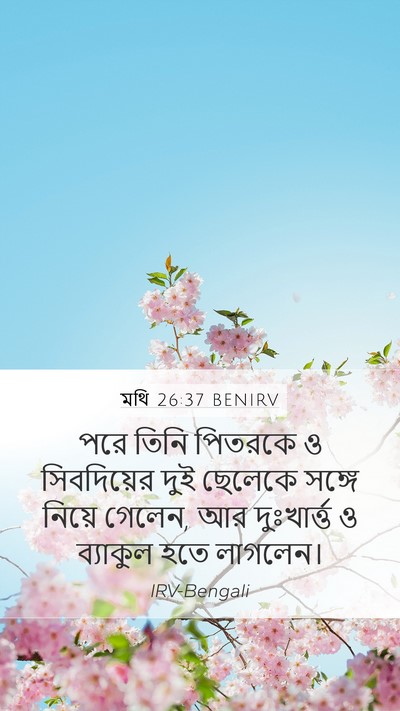 মথি 26:37 BENIRV Bible Verse Image