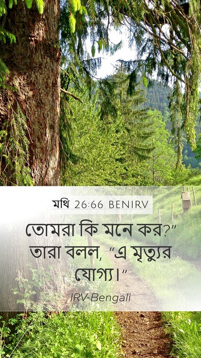 মথি 26:66 BENIRV Mobile Phone Wallpaper - তোমরা কি মনে কর?” - Mobile Bible Verse Wallpaper