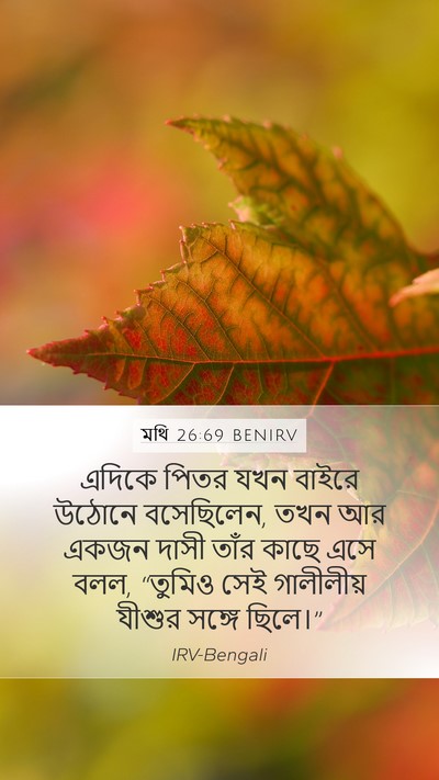 মথি 26:69 BENIRV Mobile Phone Wallpaper - এদিকে পিতর যখন - Mobile Bible Verse Wallpaper