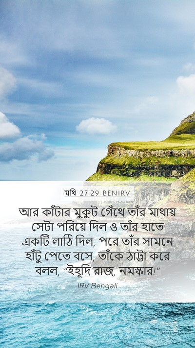 মথি 27:29 BENIRV Bible Verse Image