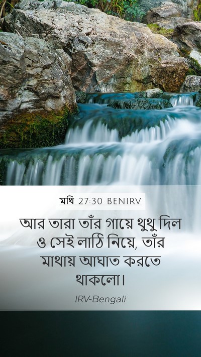 মথি 27:30 BENIRV Bible Verse Image