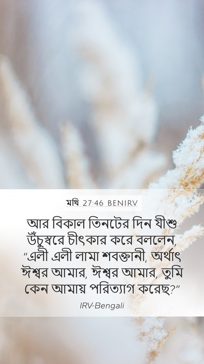 মথি 27:46 BENIRV Bible Verse Image