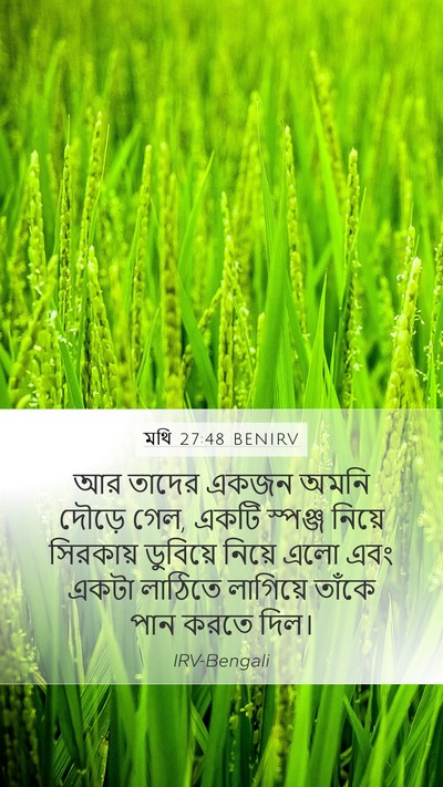 মথি 27:48 BENIRV Bible Verse Image