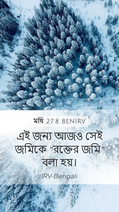 মথি 27:8 BENIRV Bible Verse Image