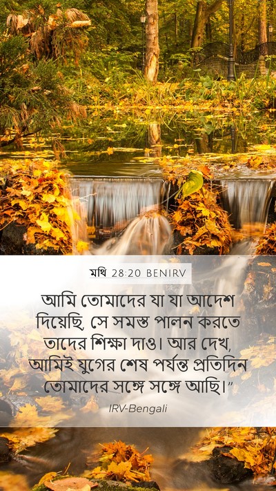 মথি 28:20 BENIRV Bible Verse Image