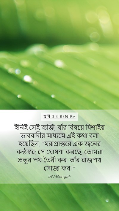 মথি 3:3 BENIRV Bible Verse Image