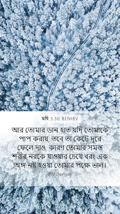 মথি 5:30 BENIRV Mobile Phone Wallpaper - আর তোমার ডান হাত - Mobile Bible Verse Wallpaper