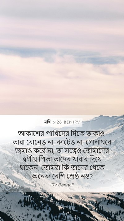মথি 6:26 BENIRV Bible Verse Image