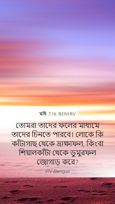 মথি 7:16 BENIRV Bible Verse Image