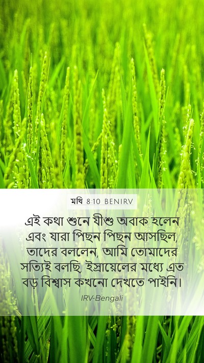 মথি 8:10 BENIRV Bible Verse Image