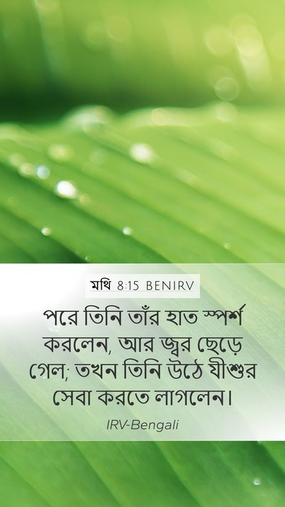 মথি 8:15 BENIRV Bible Verse Image