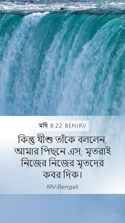 মথি 8:22 BENIRV Mobile Phone Wallpaper - কিন্তু যীশু তাঁকে - Mobile Bible Verse Wallpaper