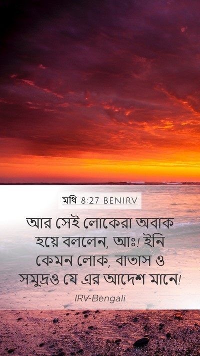 মথি 8:27 BENIRV Bible Verse Image