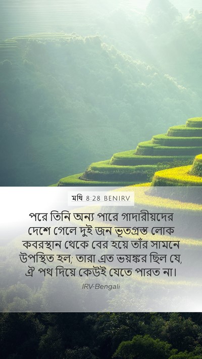 মথি 8:28 BENIRV Bible Verse Image
