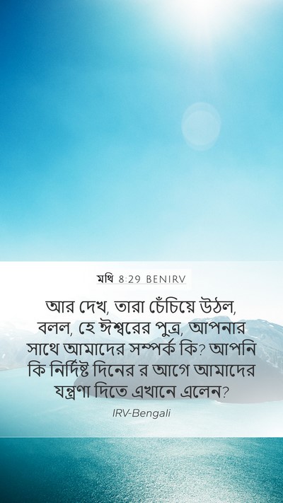 মথি 8:29 BENIRV Bible Verse Image