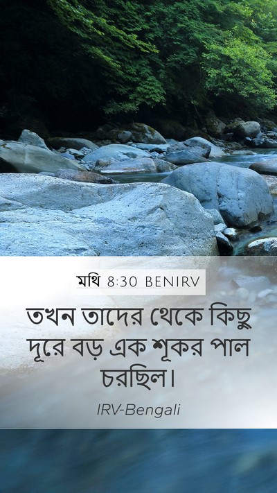 মথি 8:30 BENIRV Bible Verse Image
