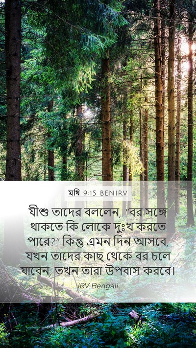 মথি 9:15 BENIRV Bible Verse Image