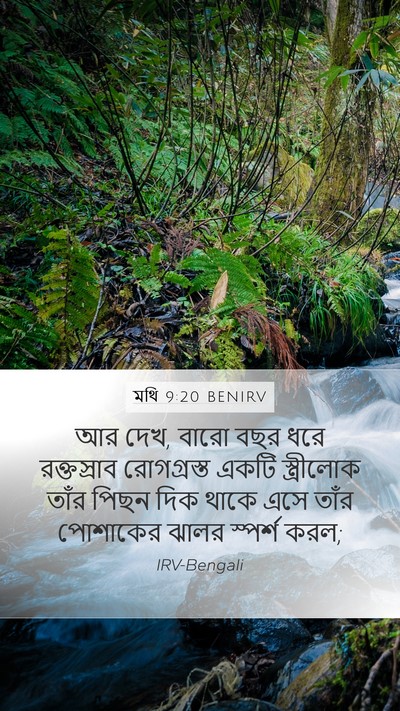 মথি 9:20 BENIRV Bible Verse Image