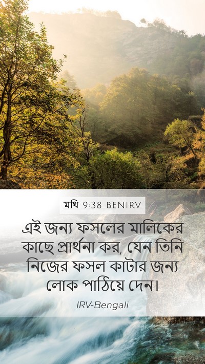মথি 9:38 BENIRV Bible Verse Image