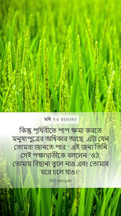 মথি 9:6 BENIRV Bible Verse Image