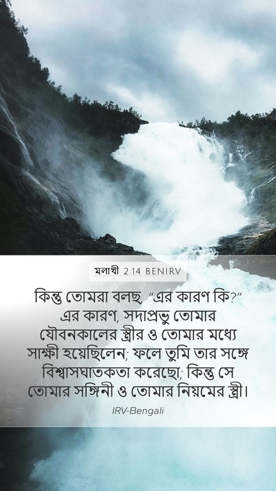 মলাখী 2:14 BENIRV Bible Verse Image