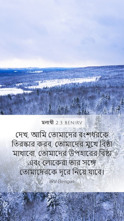 মলাখী 2:3 BENIRV Bible Verse Image