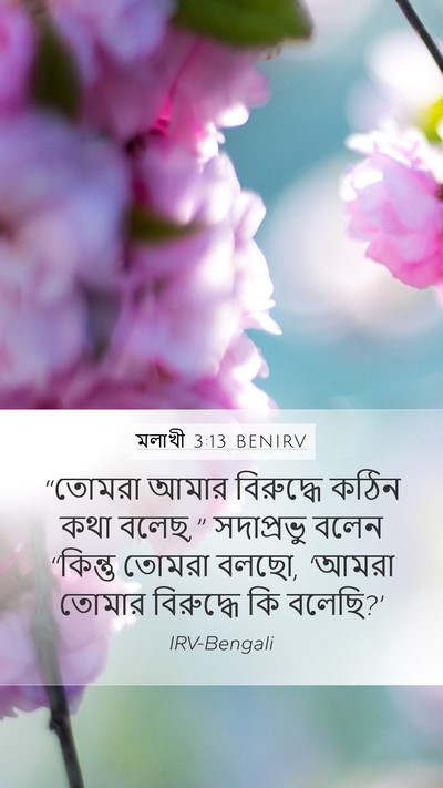 মলাখী 3:13 BENIRV Mobile Phone Wallpaper - “তোমরা আমার - Mobile Bible Verse Wallpaper