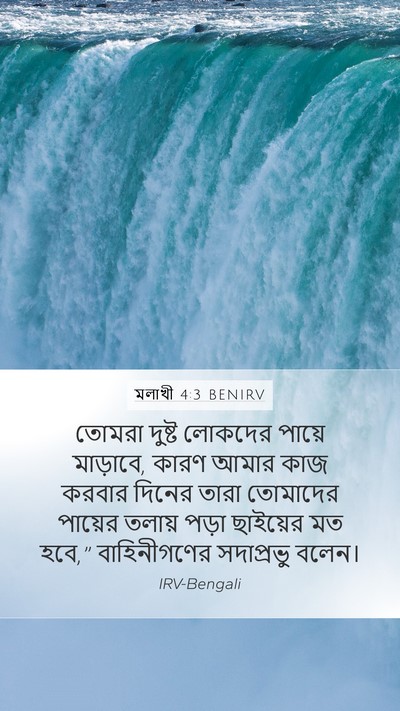 মলাখী 4:3 BENIRV Bible Verse Image