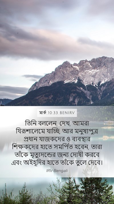 মার্ক 10:33 BENIRV Bible Verse Image