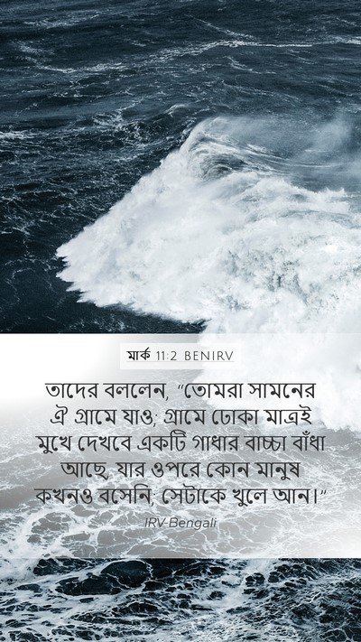 মার্ক 11:2 BENIRV Bible Verse Image