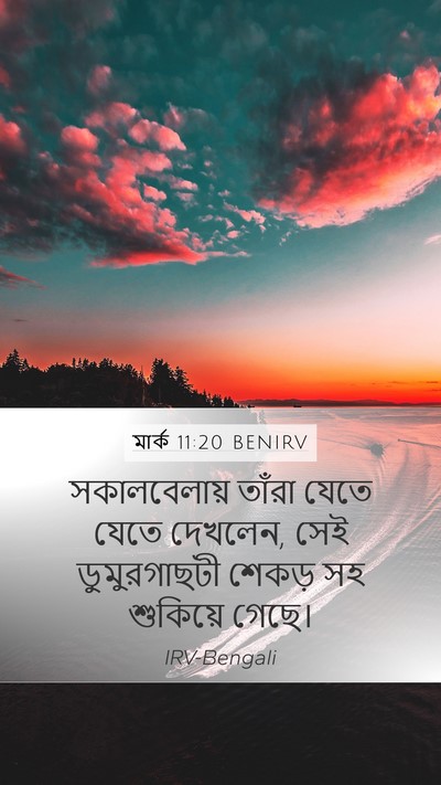 মার্ক 11:20 BENIRV Bible Verse Image