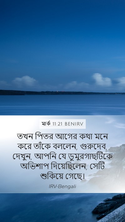 মার্ক 11:21 BENIRV Mobile Phone Wallpaper - তখন পিতর আগের কথা - Mobile Bible Verse Wallpaper
