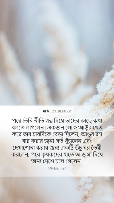 মার্ক 12:1 BENIRV Bible Verse Image