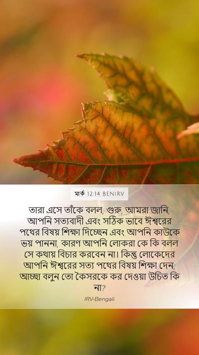 মার্ক 12:14 BENIRV Bible Verse Image