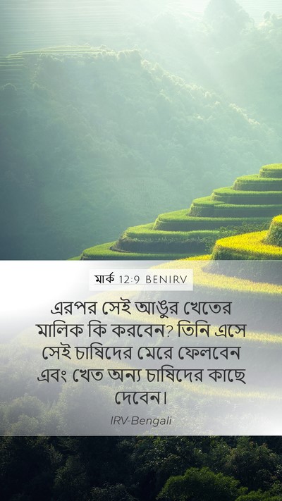 মার্ক 12:9 BENIRV Bible Verse Image
